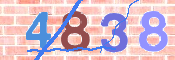 画像に表示された文字を入力して下さい