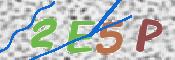 画像に表示された文字を入力して下さい