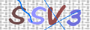 画像に表示された文字を入力して下さい