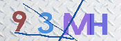 画像に表示された文字を入力して下さい