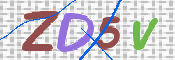 画像に表示された文字を入力して下さい