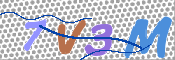 画像に表示された文字を入力して下さい