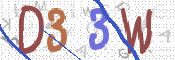 画像に表示された文字を入力して下さい