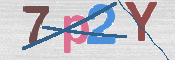 画像に表示された文字を入力して下さい