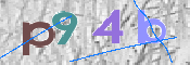 画像に表示された文字を入力して下さい