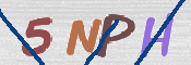 画像に表示された文字を入力して下さい
