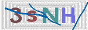 画像に表示された文字を入力して下さい