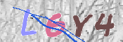 画像に表示された文字を入力して下さい