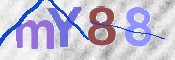 画像に表示された文字を入力して下さい
