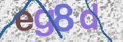 画像に表示された文字を入力して下さい