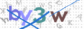 画像に表示された文字を入力して下さい