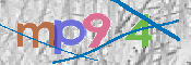画像に表示された文字を入力して下さい
