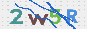 画像に表示された文字を入力して下さい