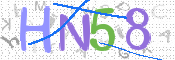 画像に表示された文字を入力して下さい
