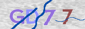 画像に表示された文字を入力して下さい