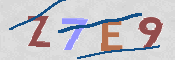 画像に表示された文字を入力して下さい