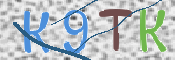 画像に表示された文字を入力して下さい