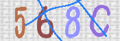 画像に表示された文字を入力して下さい