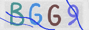 画像に表示された文字を入力して下さい