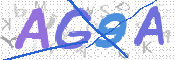 画像に表示された文字を入力して下さい
