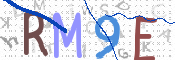画像に表示された文字を入力して下さい