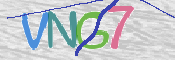 画像に表示された文字を入力して下さい