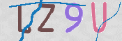 画像に表示された文字を入力して下さい