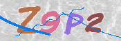 画像に表示された文字を入力して下さい