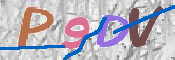 画像に表示された文字を入力して下さい