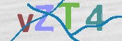 画像に表示された文字を入力して下さい