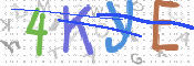 画像に表示された文字を入力して下さい