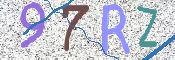 画像に表示された文字を入力して下さい