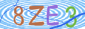 画像に表示された文字を入力して下さい