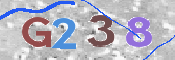 画像に表示された文字を入力して下さい