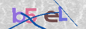 画像に表示された文字を入力して下さい