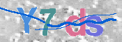 画像に表示された文字を入力して下さい