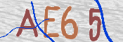 画像に表示された文字を入力して下さい