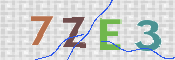 画像に表示された文字を入力して下さい
