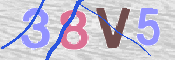 画像に表示された文字を入力して下さい