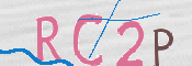 画像に表示された文字を入力して下さい