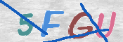 画像に表示された文字を入力して下さい