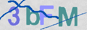 画像に表示された文字を入力して下さい