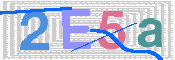 画像に表示された文字を入力して下さい