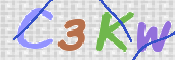 画像に表示された文字を入力して下さい