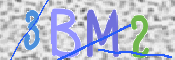 画像に表示された文字を入力して下さい