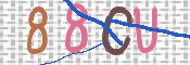 画像に表示された文字を入力して下さい