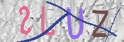 画像に表示された文字を入力して下さい