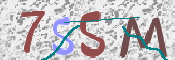 画像に表示された文字を入力して下さい