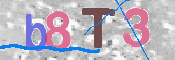 画像に表示された文字を入力して下さい