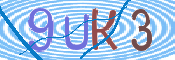 画像に表示された文字を入力して下さい